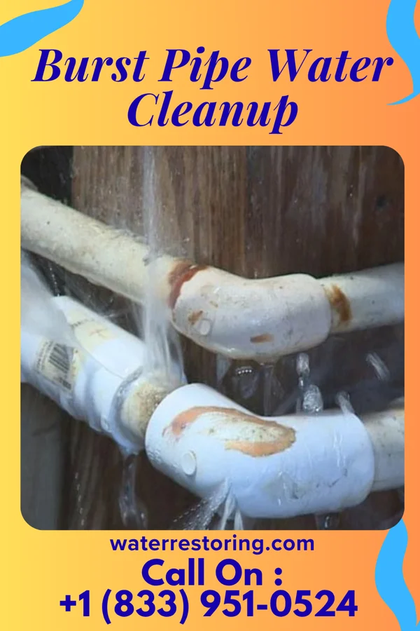 Burst Pipe Water Cleanup in Federalsburg, MD