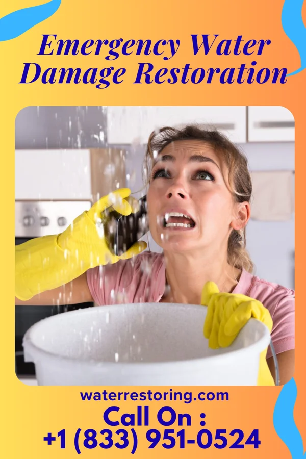 Emergency Water Damage Restoration in Federalsburg, MD