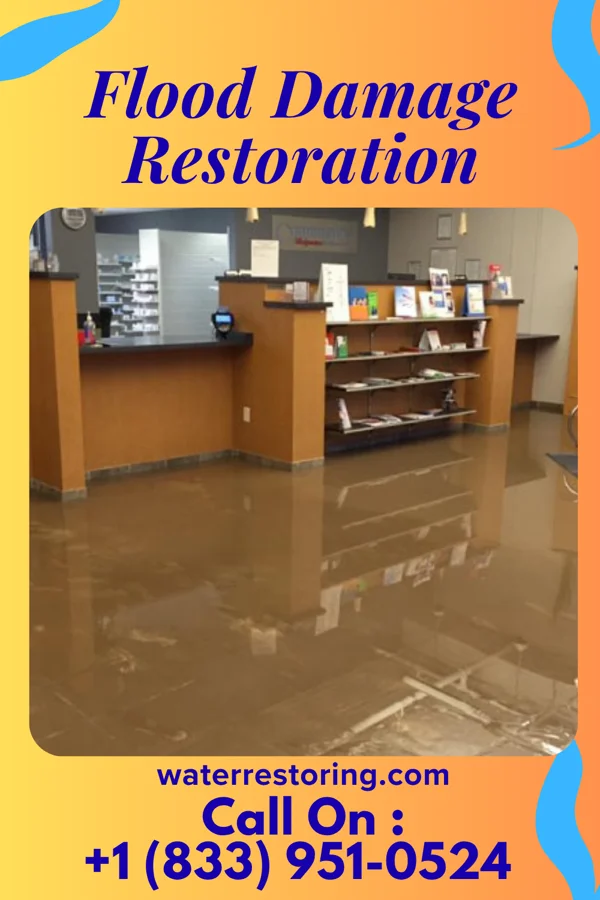 Flood Damage Restoration in Federalsburg, MD