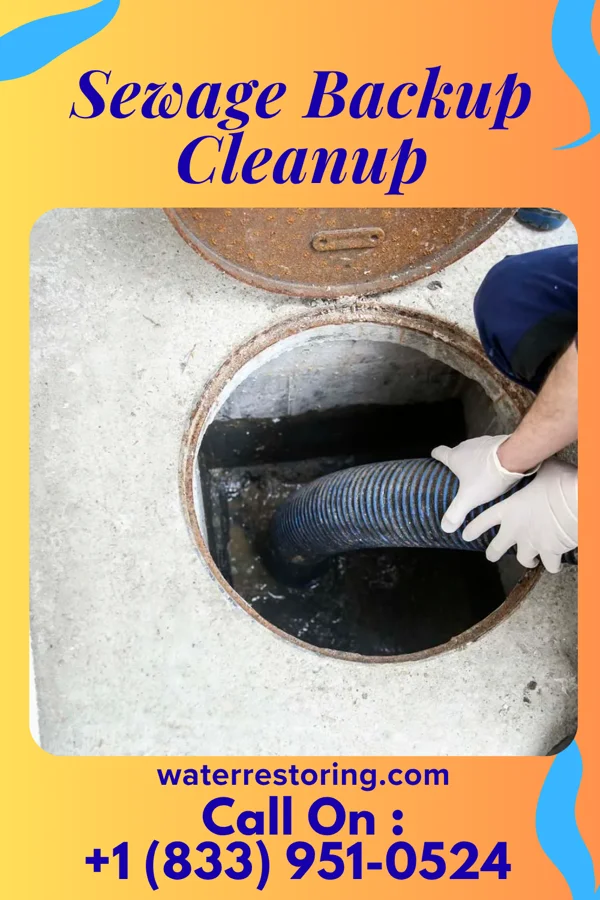 Sewage Backup Cleanup in Federalsburg, MD