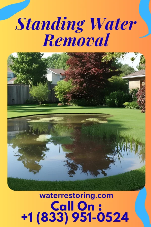 Standing Water Removal in Federalsburg, MD
